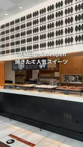 さき|岐阜カフェのTikTok投稿