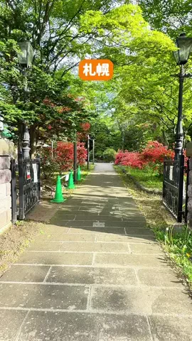札幌グルメライター🍴高井なお│MOGTRIP運営のTikTok投稿