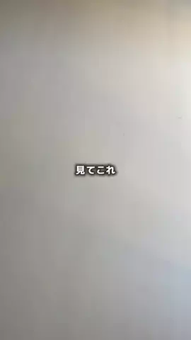 GanのTikTok投稿