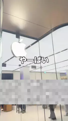 いいもの図鑑のTikTok投稿