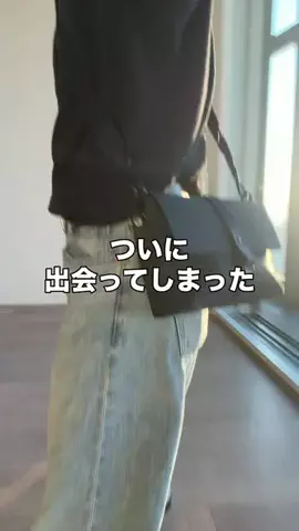 いいもの図鑑のTikTok投稿