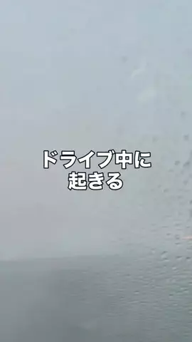 いいもの図鑑のTikTok投稿