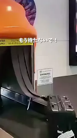 ぷうのTikTok投稿