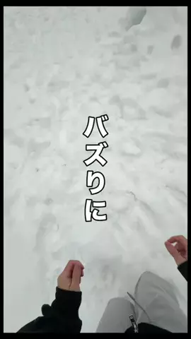 いいもの図鑑のTikTok投稿