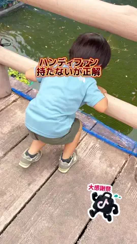 あるママのTikTok投稿