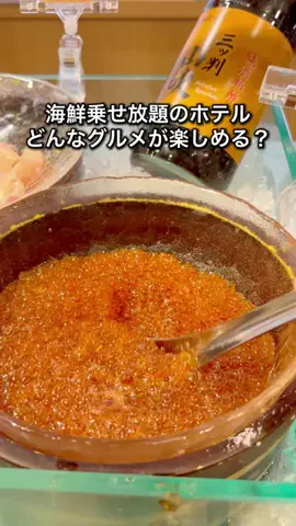 ちょこもち旅@兵庫からコスパ旅行のTikTok投稿