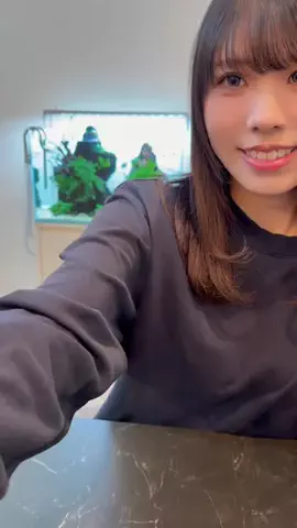 旦那のじゅんのTikTok投稿