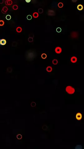 ZIMA art/曲紹介のTikTok投稿