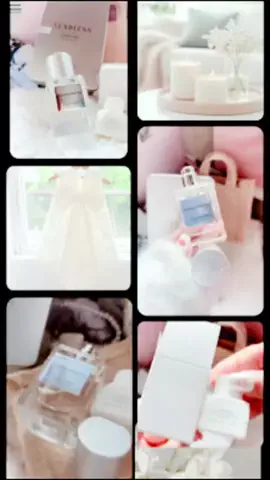 CCcreaterのTikTok投稿
