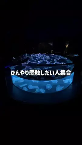 あゆミンのTikTok投稿