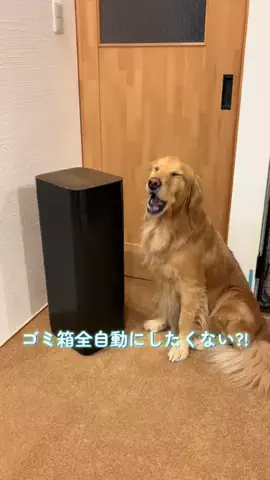 なら🐾のTikTok投稿