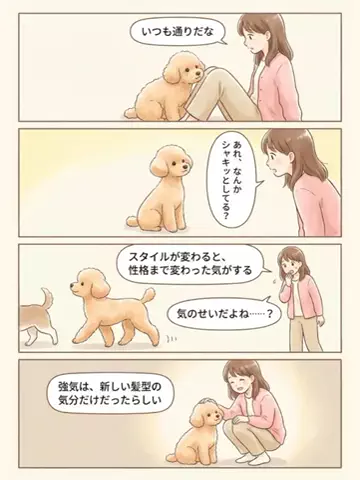 都内のチワワのTikTok投稿