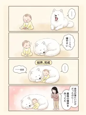 都内のチワワのTikTok投稿