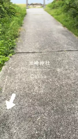 とん（旅動画）のTikTok投稿
