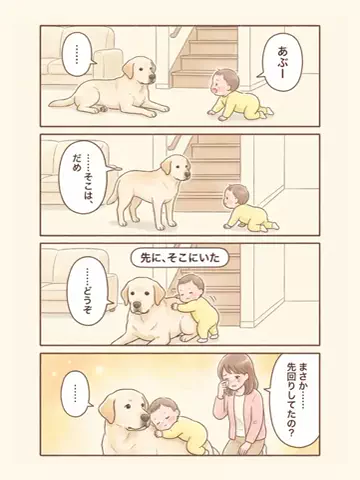 都内のチワワのTikTok投稿