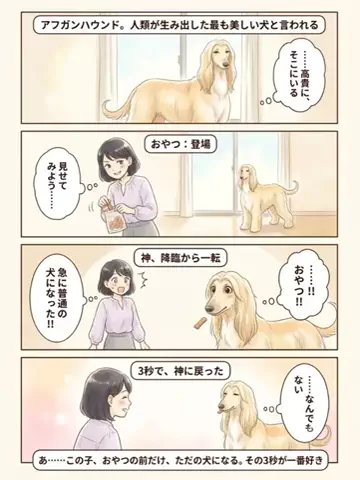 都内のチワワのTikTok投稿