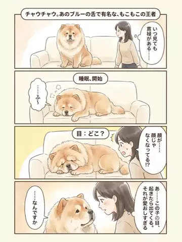 都内のチワワのTikTok投稿