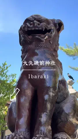 とん（旅動画）のTikTok投稿