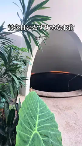 📍ホテル紹介するただの大学生📍のTikTok投稿