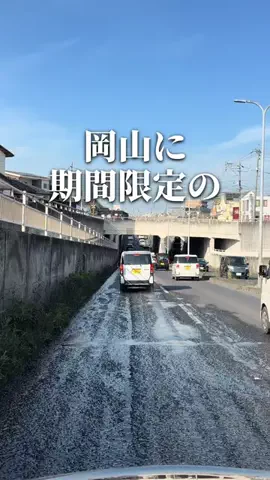岡山グルメ｜また行きたいお店だけのTikTok投稿