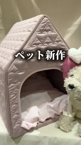 《3COINS公式》HITOMIのTikTok投稿
