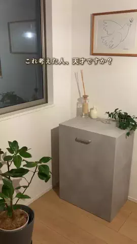 とり｜イベントごはんと暮らしのTikTok投稿