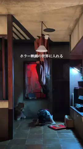MIZUKI | 東京おでかけスポットのTikTok投稿