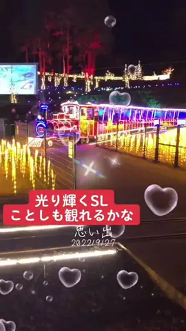 Skydaruma(ダルちゃん)のTikTok投稿