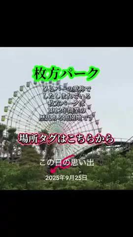 Skydaruma(ダルちゃん)のTikTok投稿