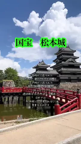 Skydaruma(ダルちゃん)のTikTok投稿