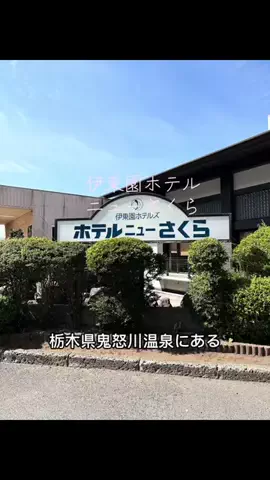 #犬好き集合 #わんこメロメロおじさん #華麗家たいしょーのTikTok投稿
