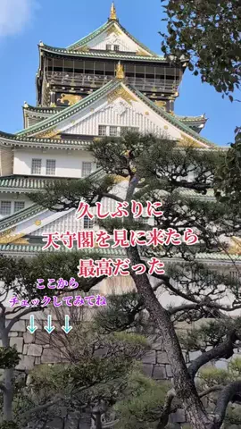 ハッピージュエリーのTikTok投稿