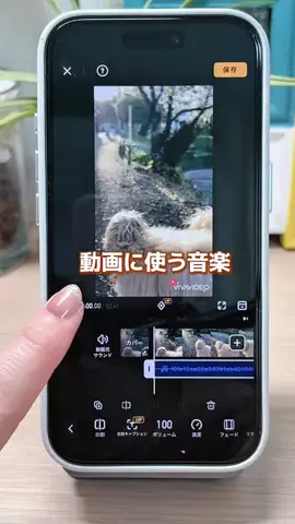 まるり[iPhone設定＊活用術]のTikTok投稿