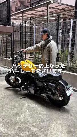 のぶのばいくのTikTok投稿