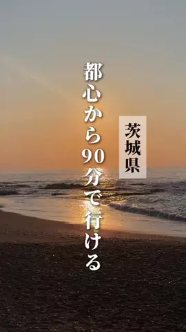 momo✈︎年間100泊するプロ遊び人のTikTok投稿