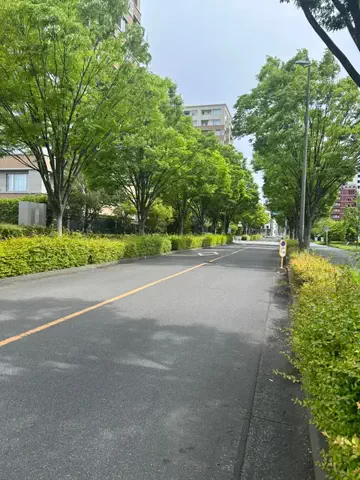ニコちゃんのTikTok投稿