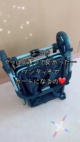ニコちゃんのTikTok投稿