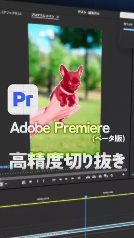 🥷のTikTok投稿