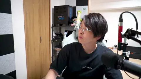 のったん☀️APEX解説のTikTok投稿