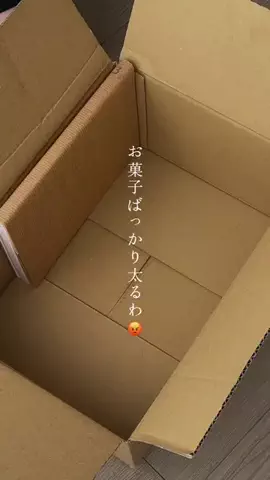 すっぽん！🐢📦のTikTok投稿