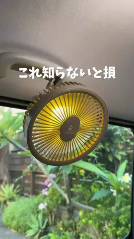 たけのTikTok投稿