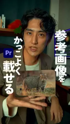 🥷のTikTok投稿