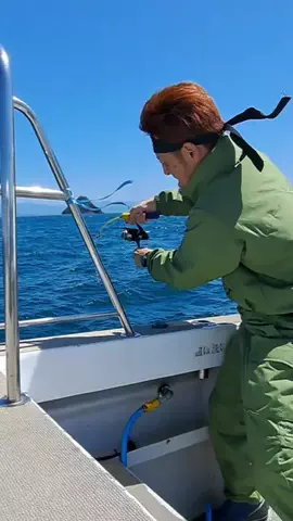 広島たにさんのぼれやびゃー動画のTikTok投稿
