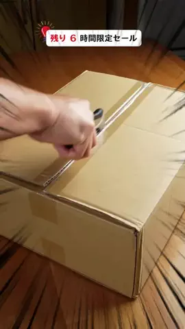 チャンピのTikTok投稿