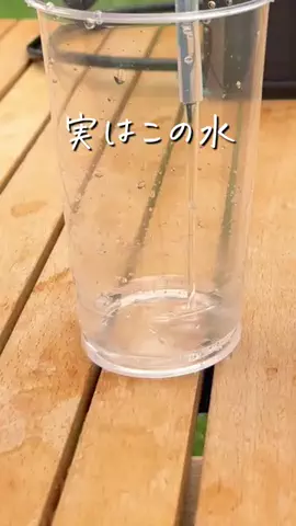 tano_kurashiのTikTok投稿
