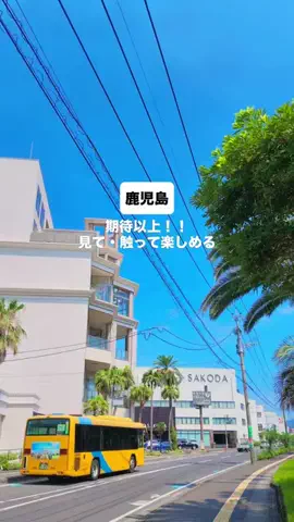 ちなつ |鹿児島グルメのTikTok投稿