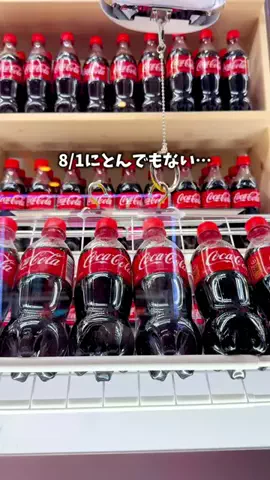 いっタビplus ︴年120日ドライブする夫婦のTikTok投稿