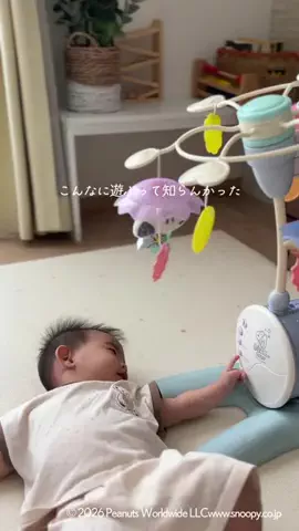 ぴーまま⌇0歳ベビとのごきげんな暮らしのTikTok投稿