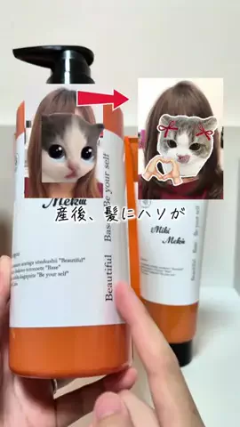 めろめろパパのTikTok投稿