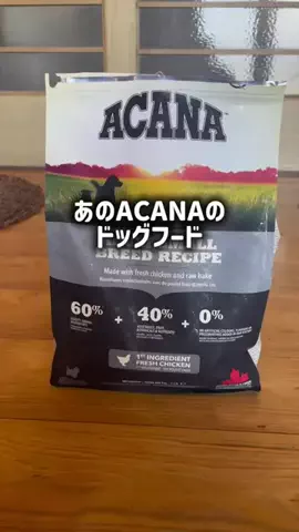 TikTokショップ紹介のTikTok投稿